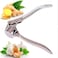 Stainless Ginger and Garlic Crusher, Garlic Chopper, Ginger Mincer, Ginger Squeezer Masher - Rustproof