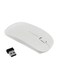 Generic Wireless Optical Mouse With Usb Receiver White