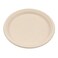 EcoShine   100% Natural, Biodegradable, Compostable, Ecofriendly, Safe &amp; Hygienic Disposable Bagasse Plate 9-INCH Round (Pack of 250 plates)