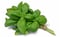 Italian Basil - 100gm