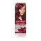 Garnier Color Intensity Hair Dye - 6.60 Intense Ruby
