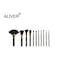 Aliver 11-Piece Dot Collection Multi Use Brush Set With Storage Case, Black/Gold