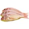 Sultan Ibrahim Fish