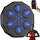 Max Strength Wall Mounted Boxing Training Machine Smart Music Boxing Pads