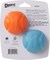 CHUCKIT! FETCH BALL 2-PACK MEDIUM