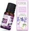 JMB Aroma Scented Essential Oil For Humidifier Multi Flavor Pack Of Six Bottles