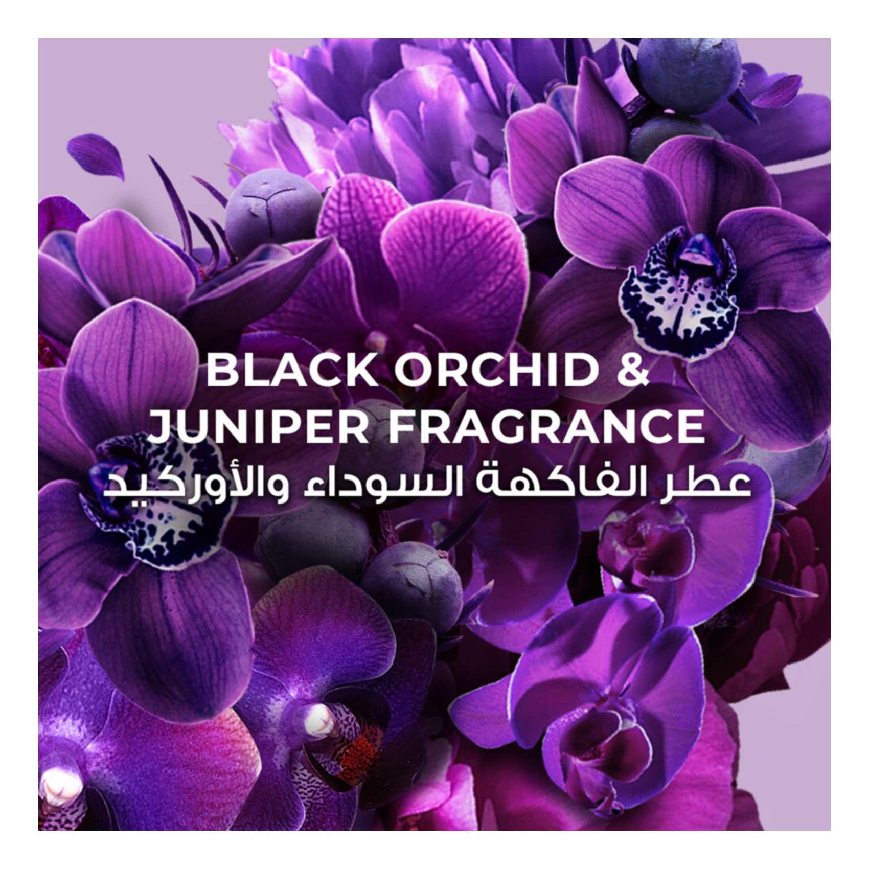 Lux Magical Orchid Black Orchid And Juniper Bar Soap Purple 170g