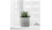 Plant pot, in/outdoor grey, 15 cm