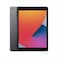 Apple iPad 10.2&quot; (2020 - 8th Gen), Wi-Fi, 128GB, Space Gray [With Facetime]