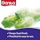 Sanita  Food Storage Bags Biodegradable #8 40 Bags