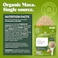 Navitas Organics Plant based Superfood Organic Maca Powder 113g