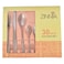 Zinnia Classy Mirror Cutlery - 30 Piece 