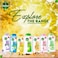 Dettol Fresh Shower Gel &amp; Body Wash, Citrus &amp; Orange Blossom Scent, 250ml x 2
