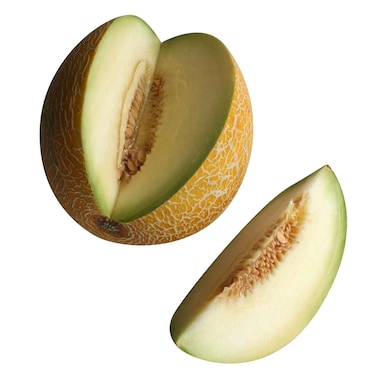 Melon Galia