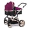 Teknum 3 in 1 Pram stroller - Wine