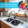 Generic As - 2 In 1 Sponge Rack Shelf Soap Detergent Dispenser Pump, Large Capacity With Sponge, 1 Hand Operation (2)