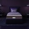 Sleepwell Nexa Classic   Resitec Foam   Single Bed Size   Medium Firm   Neem Fresche Technology   Anti Sag Mattress (200L x 90W x 25H cm)