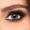 Alcon Freshlook Daily 30 Packs (Green) -1.00 Contact Lenses