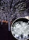 Generic Decorative String Light With 100 Leds White