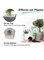 10-12mm Medium White Stones Polished Natural White Pebbles For Garden Landscaping Fish Tank Vase Filler Cactus Succulents Aquariums-20kg