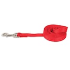 Buy Petmate Aspen Pet Nylon Dog Lead 3/8" X 5 Red in UAE