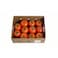 Tomato Family Pack