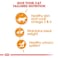 Royal Canin Feline Health Nutrition Intense Beauty Wet Cat Food (Chunks in Gravy, Adult Cats, 85 g)