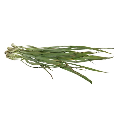 Lemon Grass Premium Pack 50G