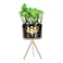 Decor Plant With Stand