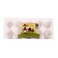 Sinokrot Eggs Plastic Box Large 10 Pieces