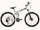 Land Rover G4 Challenge Mountain Bike - White
