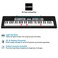 Casio LK-136  61-Note Key Portable Key lighting Keyboard in Black