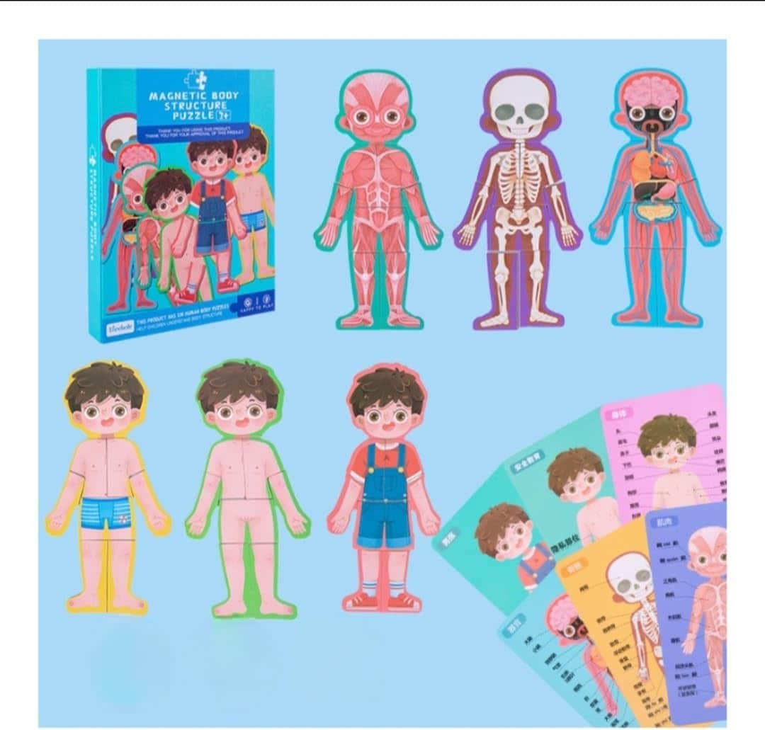 Buy Wooden Human Body Parts Structure Jigsaw Puzzle Set for Kids Toys ...