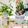 Vsell24 Grey Texture Ceramic Plant Pots with Drainage Holes and Saucer, Decorative Planters for Indoor/Outdoor, House Plants, Garden, Succulents (Large)