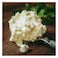 Browns Cottage Cheese 200G