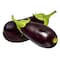 Big Egg Plant