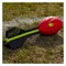 NERF A0364 SPORT VORTEX AERO H RED