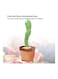 Xiuwoo Dancing Cactus Plush Stuffed Toy With Music
