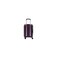 Delsey Ordener Expandable Hard Trolley 55cm Purple