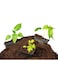 Sphagnum Peat Moss Black High Water Retention Organic Soil Enhancer 1.5kg