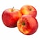 Apple Gala Pack