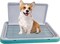 Dog Toilet Training, Dog Potty Tray, Washable &amp; Easy To Clean, Keep Paws and Floor Clean, Portable, Dog Pee Training, Durable, Indoor &amp; Outdoor, Green &amp; Grey Color, Small Size, 51 Cm Length