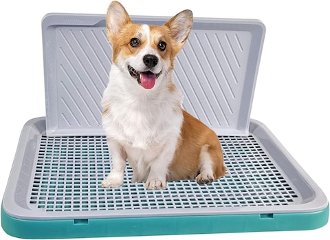 Dog Toilet Training, Dog Potty Tray, Washable &amp; Easy To Clean, Keep Paws and Floor Clean, Portable, Dog Pee Training, Durable, Indoor &amp; Outdoor, Green &amp; Grey Color, Small Size, 51 Cm Length