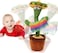 Dancing Cactus 