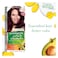 Garnier Color Naturals Hair Color 4.62 Sweet Cherry