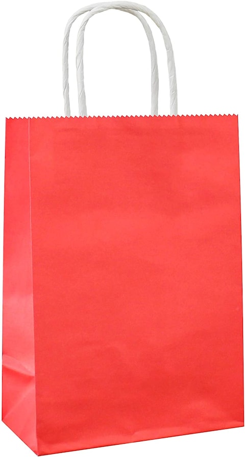 Party Time 12-Pieces A5 Red Kraft Paper Bags with Handle Party Gift Bag Birthday Wedding Graduation Baby Shower Christmas Shopping Favor Present Bag Souvenir Bag