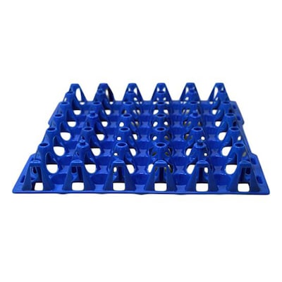 Kenpoly Egg Tray Assorted Col