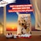 Kinder Bueno Chocolate Eggs, 84g