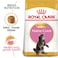 Feline Breed Nutrition Maine Coon Kitten 2 KG
