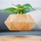 Nicetow Small Levitating Air Bonsai Pot, Decorative Resin Flower Pot, Magnetic Levitation Suspension Floating Pot, Office Planter Plant Pots For Home Desk Decor-Wood 19X3Cm(7X1Inch)